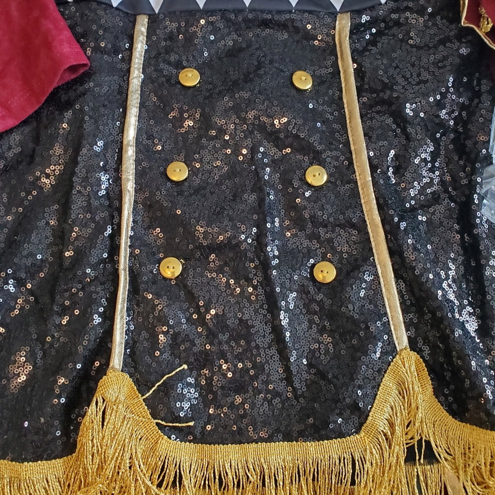 Dazzling Ringmaster The Greatest Showman Adult Halloween Costume M - Picture 7 of 10